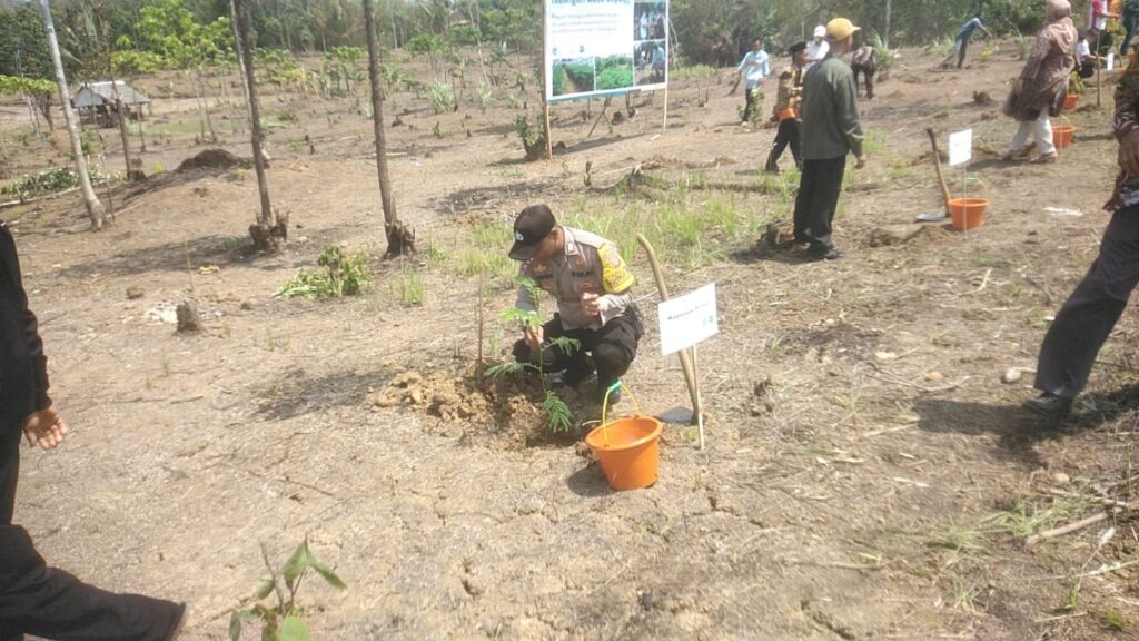 Rekam Nusantara Foundation, Polsek Munjul Bersama Stakeholder Bagikan 35.000 Bibit Pohon Sengon 1 WhatsApp Image 2023 11 17 at 08.26.59