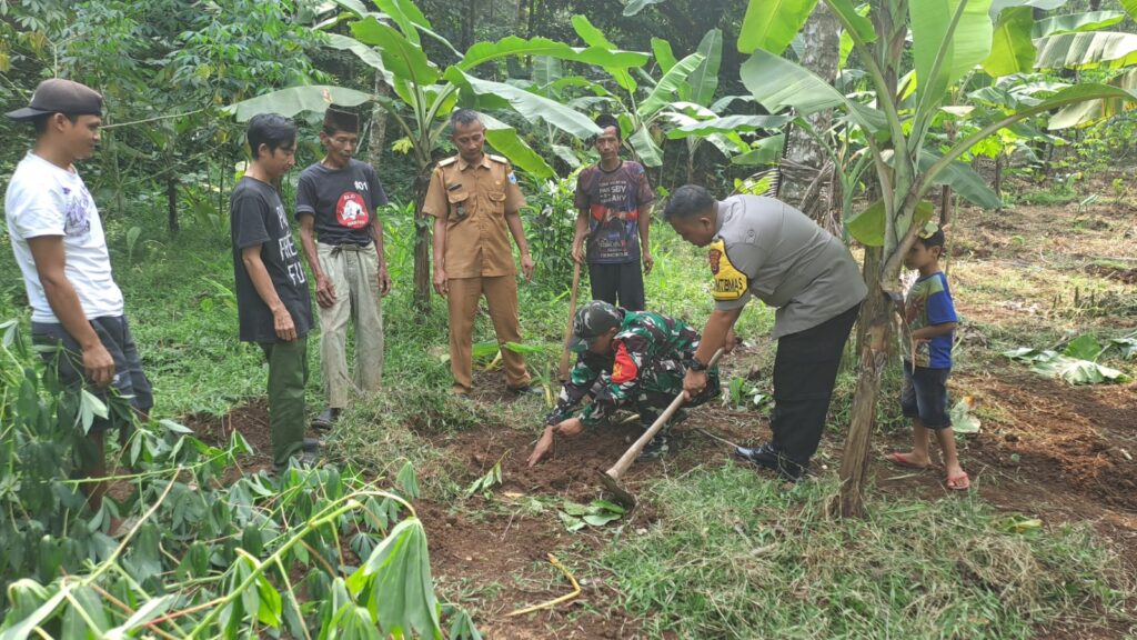 Penghijauan Wilayah: Bhabinkamtibmas Polsek Cadasari Tanam 250 Pohon Albasiah di Kebun Bapak Ahmad 9 WhatsApp Image 2024 06 11 at 10.31.40