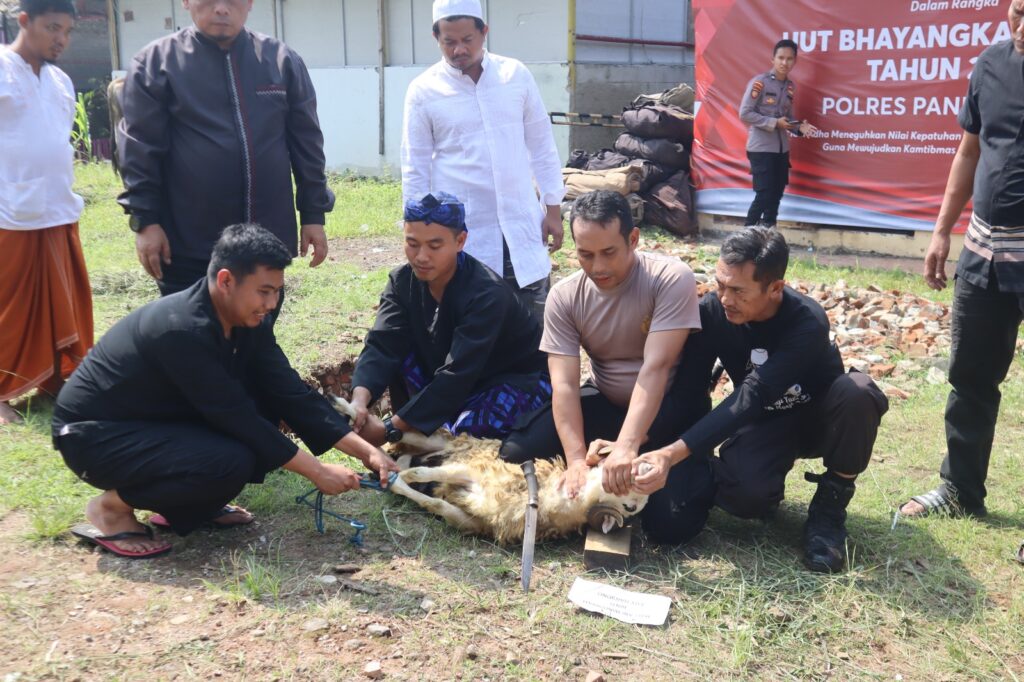 Polres Pandeglang Gelar Pemotongan Hewan Qurban pada Hari Raya Idul Adha 1445 H 5 WhatsApp Image 2024 06 17 at 11.16.17