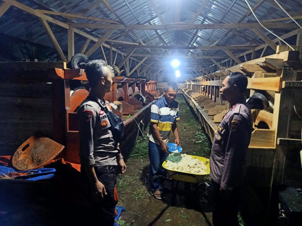 Patroli Polsek Cadasari Tingkatkan Keamanan Pedagang Kambing di Malam Hari 1 WhatsApp Image 2024 06 18 at 08.09.07