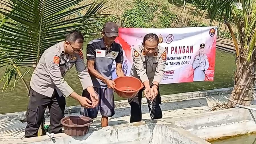 Polsek Cadasari Gelar Kegiatan Ketahanan Pangan Berikan 100 Bibit Anakan Ikan Lele 4 WhatsApp Image 2024 06 26 at 08.48.34