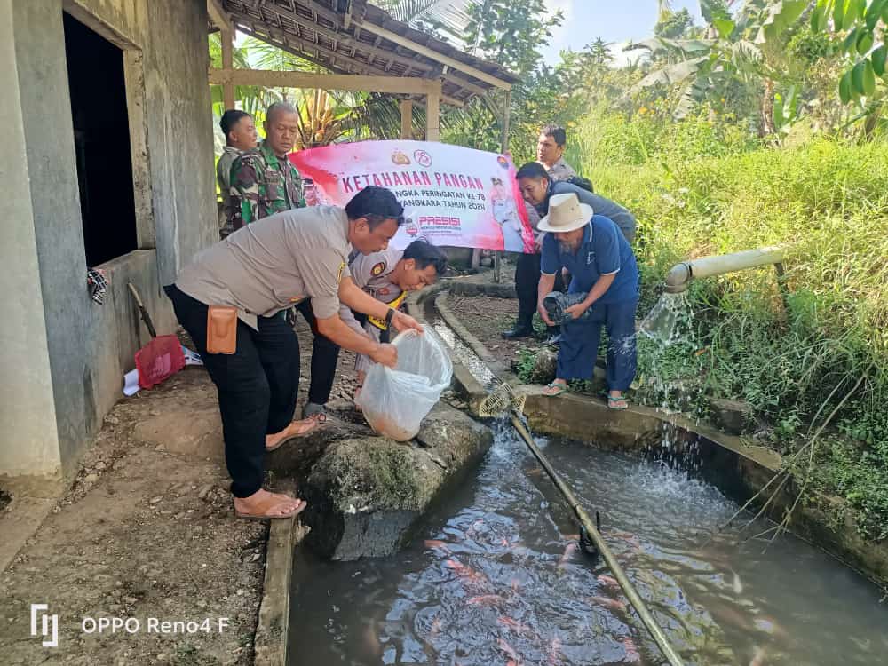 Polsek Pulosari Tebar 100 Kg Benih Ikan untuk Tingkatkan Ketahanan Pangan 3 WhatsApp Image 2024 06 27 at 01.20.32