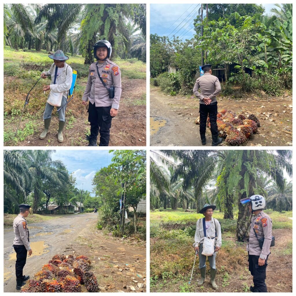 WhatsApp Image 2024 09 12 at 17.51.28